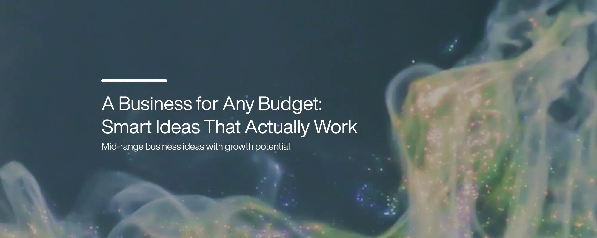 Cover image for A Business for Any Budget: Smart Ideas That Actually Work