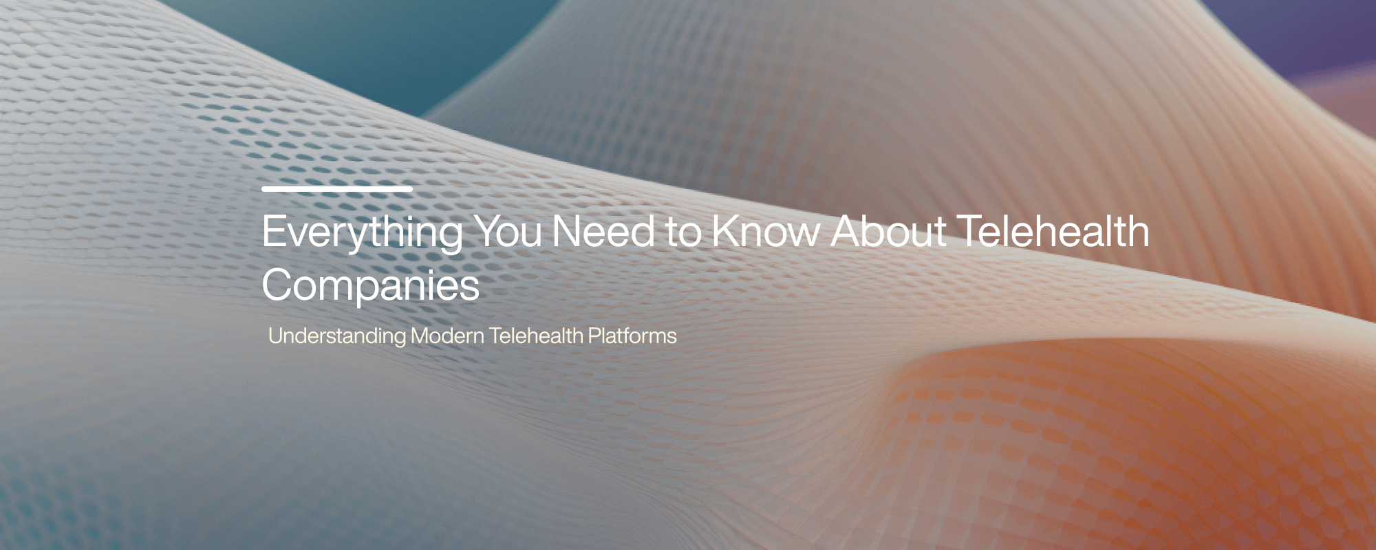 Cover image for Everything You Need to Know About Telehealth Companies