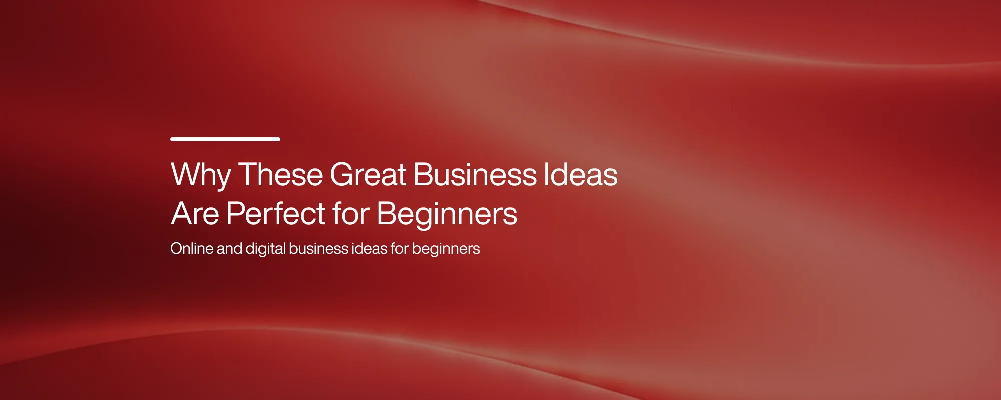 Cover image for Why These Great Business Ideas Are Perfect for Beginners