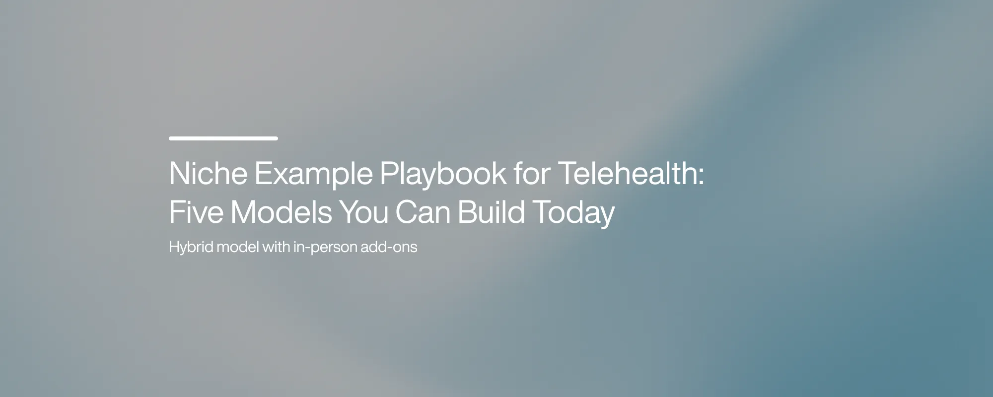 Cover image for Niche Example Playbook for Telehealth: Five Models You Can Build Today