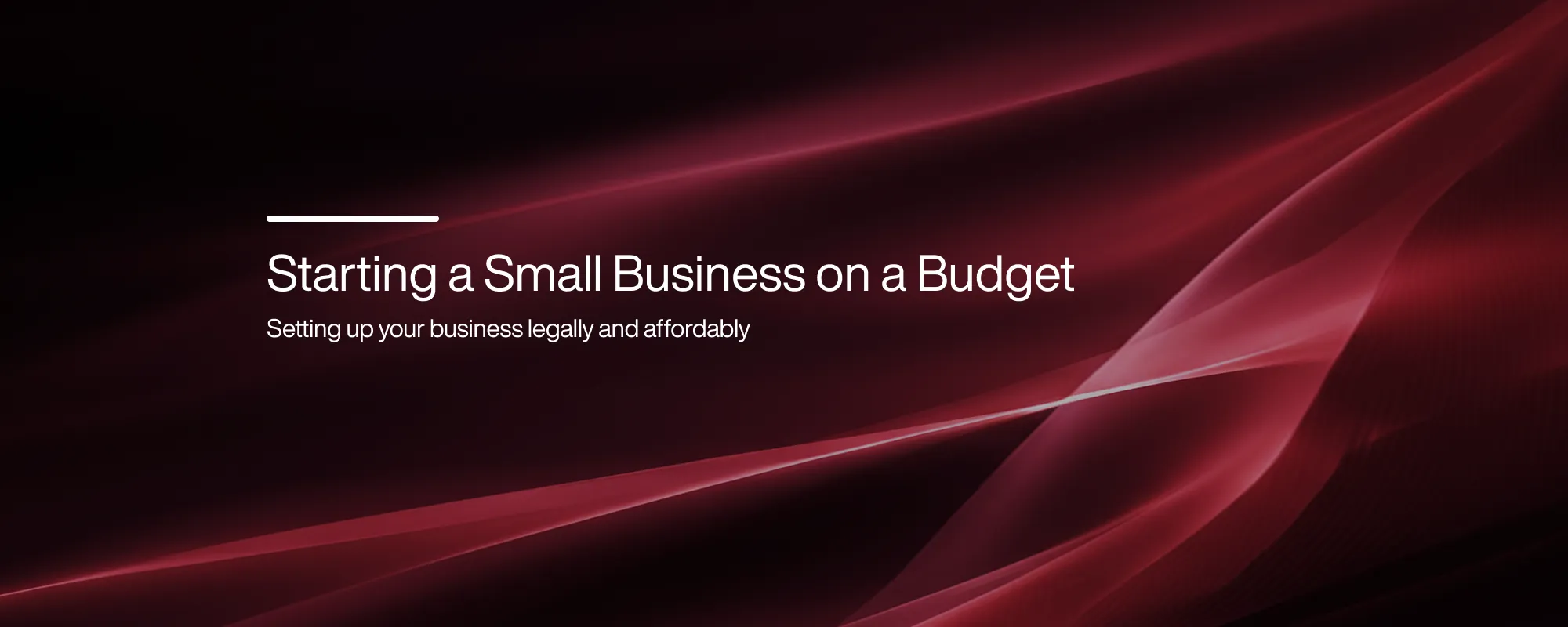 Cover image for Starting a Small Business on a Budget