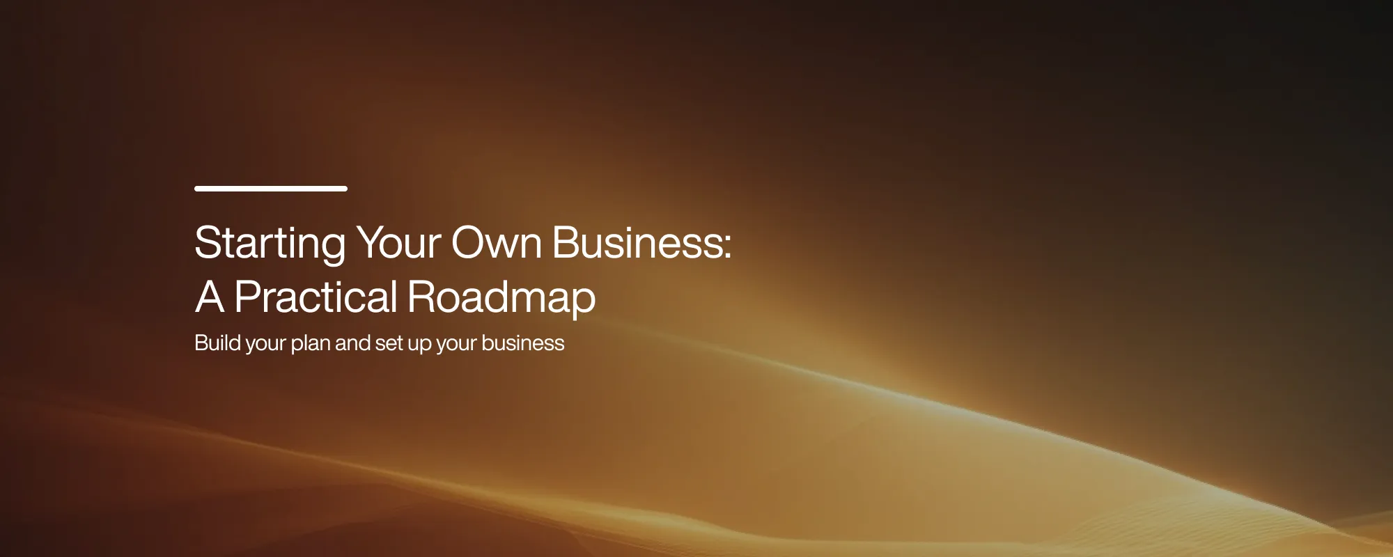 Cover image for Starting Your Own Business: A Practical Roadmap