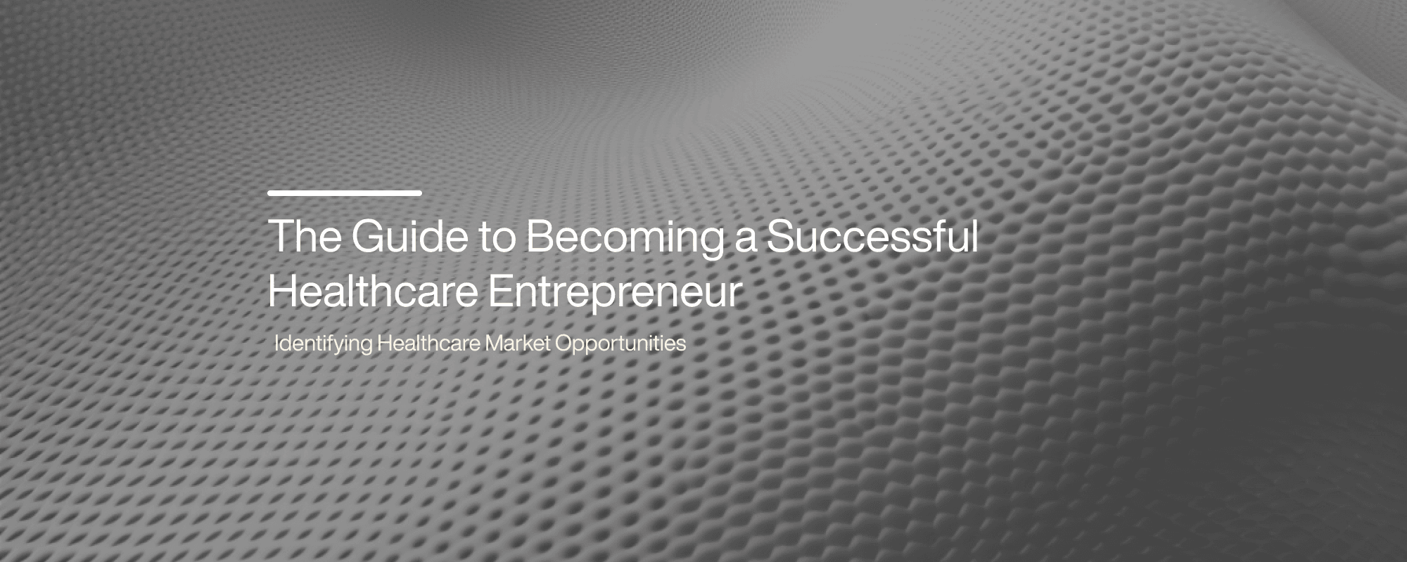 Cover image for The Guide to Becoming a Successful Healthcare Entrepreneur