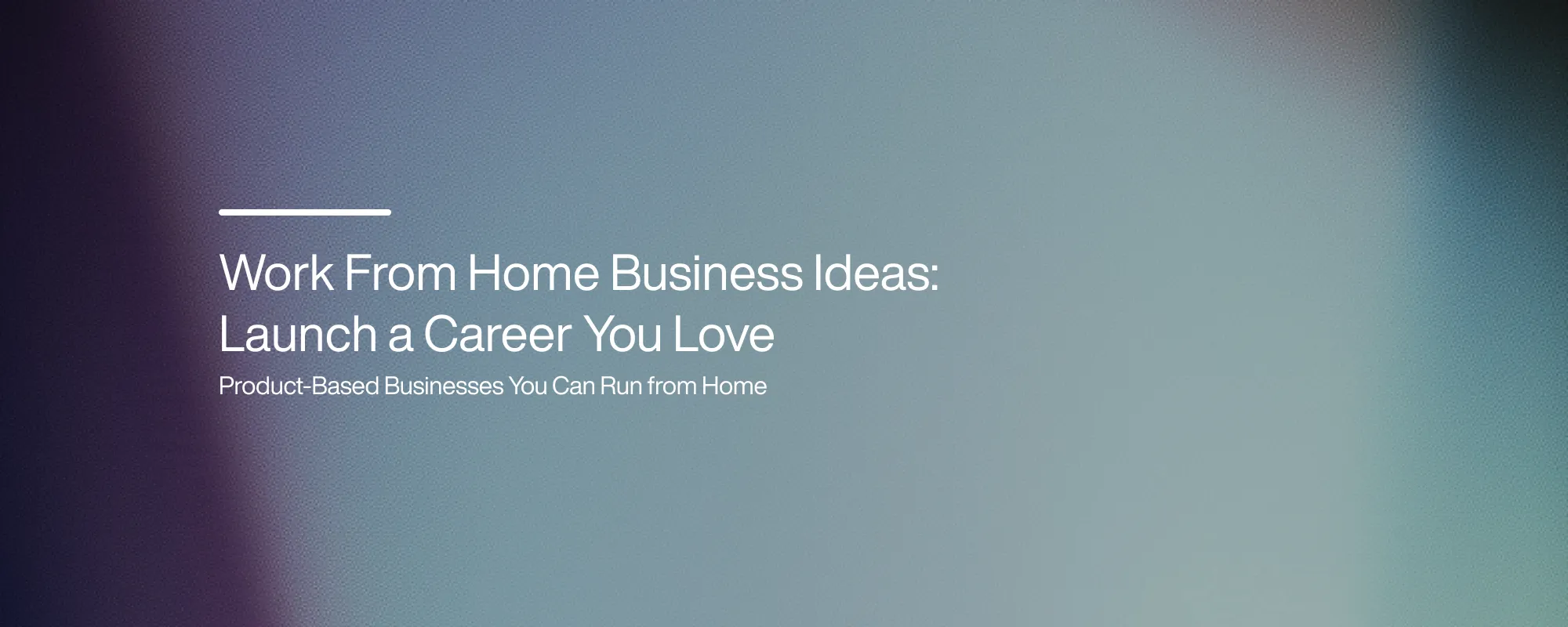 Cover image for Work From Home Business Ideas: Launch a Career You Love